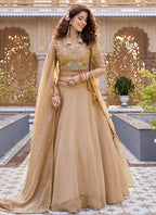 Beige Crunchy Silk Embroidery Work Occasional Wear Lehenga Choli SW916069