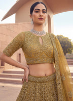 Golden Net Sequins Work  Wedding Wear Lehenga Choli SW294529